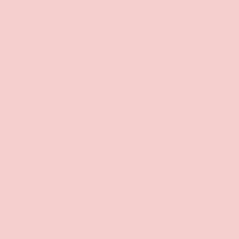 cHJpdmF0ZS9sci9pbWFnZXMvd2Vic2l0ZS8yMDI0LTA5L2NvbG9yLXBpbmtudWRlLWpqLTAyMi1iLmpwZw